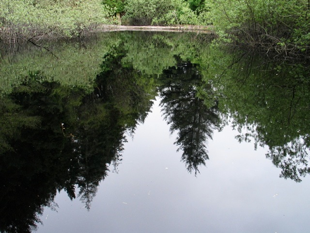 Loading Image